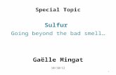 Special Topic Sulfur Going beyond the bad smell… Gaëlle Mingat 10/10/12 1.