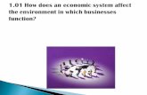 1.01 How does an economic system affect the environment in which businesses function?