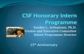Sandra L. Arlinghaus, Ph.D. CSF Trustee and Executive Committee Intern Programme Director 15 th Anniversary.