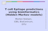 CENTER FOR BIOLOGICAL SEQUENCE ANALYSISTECHNICAL UNIVERSITY OF DENMARK DTU T cell Epitope predictions using bioinformatics (Hidden Markov models) Morten.