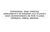 TEMPORAL AND SPATIAL VARIABILITY IN RADON-222 FLUXES AND INVENTORIES IN THE FLONA TAPAJOS, PARA, BRASIL.
