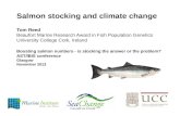 Salmon stocking and climate change Tom Reed Beaufort Marine Research Award in Fish Population Genetics University College Cork, Ireland Boosting salmon.