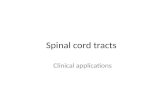 Spinal cord tracts Clinical applications. Clinical significance of lamination of the ascending tracts Any external pressure exerted on the spinal cord.