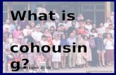 What is cohousing? © Kraus-Fitch Architects, Inc. 2002 Revised June 2010.