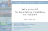 Investing in Sustainable Agriculture in Myanmar What potential for geographical indications in Myanmar? Sébastien BOUVATIER Agricultural Counsellor for.