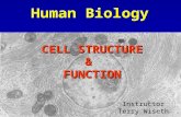 Human Biology Instructor Terry Wiseth CELL STRUCTURE & FUNCTION