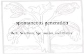 spontaneous generation Redi, Needham, Spallanzani, and Pasteur.