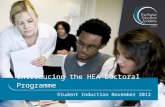 Introducing the HEA Doctoral Programme Student Induction November 2012.