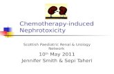 Chemotherapy-induced Nephrotoxicity Scottish Paediatric Renal & Urology Network 10 th May 2011 Jennifer Smith & Sepi Taheri.