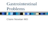 Gastrointestinal Problems Claire Nowlan MD. Peptic Ulcers Ulceration of either the gastric or duodenal mucosa.