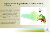 1 Update on Kyeamba Creek NAFE study. (1)Intro the study (reminder) (2)Go over reviewers comments from NAFE special edition letter (3) Upscaling to Kyeamba.