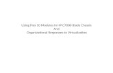 Using Flex 10 Modules in HP C7000 Blade Chassis And Organizational Responses to Virtualization.