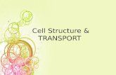 Cell Structure & TRANSPORT. Cell Structure Cytoplasm Fluid material in which the cell contents are suspended 75% - 90% water Cytoskeleton framework of