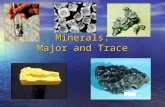 Minerals: Major and Trace. Major Minerals sodium sodium chloride chloride potassium potassium calcium calcium phosphorus phosphorus magnesium magnesium