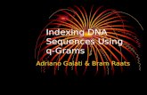 Indexing DNA Sequences Using q-Grams Adriano Galati & Bram Raats.