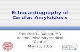 Echocardiography of Cardiac Amyloidosis Frederick L. Ruberg, MD Boston University Medical Center May 25, 2005.