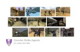 Counter-Strike Agents IST, AASM, 2007-2008. Counter-Strike Agents2 The Game Counter-Strike is a First Person Shooter (FPS) game Counter-Strike is a mod.