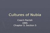 Cultures of Nubia Coach Parrish OMS Chapter 3, Section 5.