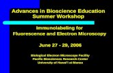 Advances in Bioscience Education Summer Workshop Immunolabeling for Fluorescence and Electron Microscopy June 27 - 29, 2006 Biological Electron Microscope.