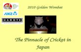 2010 Golden Wombat The Pinnacle of Cricket in Japan.