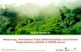 USAID-CIFOR-ICRAF Project Assessing the Implications of Climate Change for USAID Forestry Programs (2009) Reducing Emissions from Deforestation and forest.