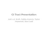 GI Tract Presentation Josh v.d. Kroft, Gabby Arancio, Taylor Hopwood, Stevi Juall.