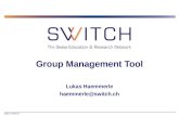 2006 © SWITCH Group Management Tool Lukas Haemmerle haemmerle@switch.ch.
