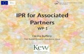 IPR for Associated Partners WP 1 Cecilia Buffery The Royal Botanic Gardens, Kew.