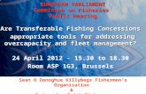 EUROPEAN PARLIAMENT Committee on Fisheries Public Hearing Are Transferable Fishing Concessions appropriate tools for addressing overcapacity and fleet.