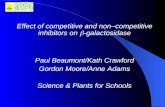 Effect of competitive and non–competitive inhibitors on  ‑ galactosidase Paul Beaumont/Kath Crawford Gordon Moore/Anne Adams Science & Plants for Schools.