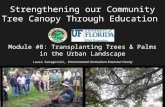 Strengthening our Community Tree Canopy Through Education Module #8: Transplanting Trees & Palms in the Urban Landscape Laura Sanagorski, Environmental.