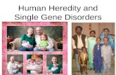 Human Heredity and Single Gene Disorders. Autosomal? These types of gene disorders are only found in chromosome pairs 1-22.