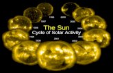The Sun Cycle of Solar Activity. The Sun soho.