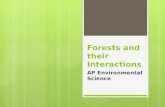 Forests and their Interactions AP Environmental Science.