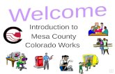 Introduction to Mesa County Colorado Works Colorado Works / Temporary Assistance to Needy Families (TANF)  TANF is a basic cash assistance work program.