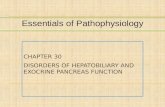 CHAPTER 30 DISORDERS OF HEPATOBILIARY AND EXOCRINE PANCREAS FUNCTION Essentials of Pathophysiology.