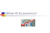 What IS Economics?. Economics is the study of how people seek to satisfy their needs and wants by making choices.