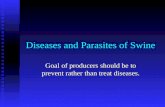 Diseases and Parasites of Swine Goal of producers should be to prevent rather than treat diseases.