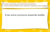 Este arroz arreyeva muncho kaldo. Understandings and Misunderstandings: confounding differences between Spanish and Ladino.