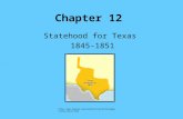 Chapter 12 Statehood for Texas 1845-1851