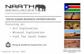 Prepared January 2013 Focusing on: Oil Exploration Mineral Exploration Fuel for South Sudan. SOUTH SUDAN BUSINESS OPPORTUNITIES Chang & Skalbania Exploration.