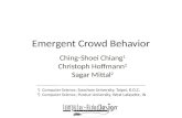 Emergent Crowd Behavior Ching-Shoei Chiang 1 Christoph Hoffmann 2 Sagar Mittal 2 1 ) Computer Science, Soochow University, Taipei, R.O.C. 2 ) Computer.