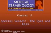 © 2009 Delmar, Cengage Learning Chapter 11 Special Senses: The Eyes and Ears.