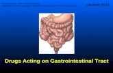 Drugs Acting on Gastrointestinal Tract Dnepropetrovsk state medical academy Department of Pharmacology, Clinical Pharmacology and Pharmacoeconomy Lecture.
