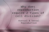 Why does reproduction require 2 types of cell division? Asexual & Sexual Reproduction.