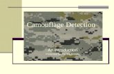 Camouflage Detection An introduction Presented by: Ani Starrenburg.
