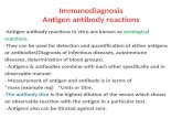 Immunodiagnosis Antigen antibody reactions -Antigen antibody reactions in vitro are known as serological reactions. -They can be used for detection and.