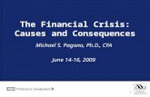 1 The Financial Crisis: Causes and Consequences Michael S. Pagano, Ph.D., CFA June 14-16, 2009 1.