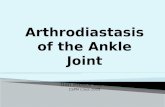 Arthrodiastasis of the Ankle Joint Dan Preece MS IV CSPM Class 2009.