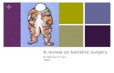 + A review on bariatric surgery Dr Dennis CT Lam TKOH.
